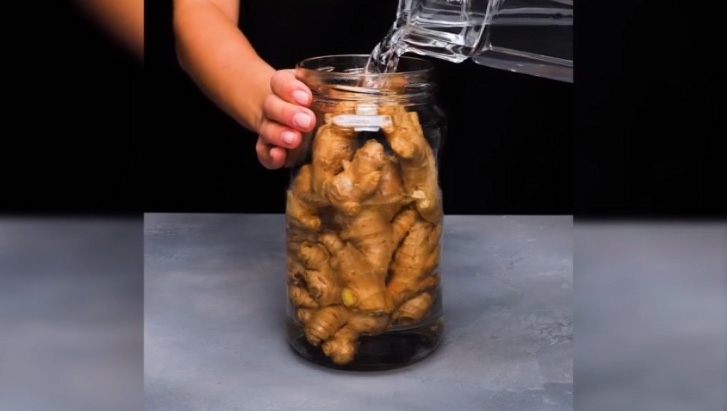 bi quyet bao quan thuc pham tuoi ngon dip tet nguyen dan 2020