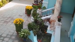 dong nai 2 chi em ruot chet duoi trong khu du lich sinh thai ngoc hoa trang