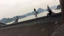anh mua hoa sung chup o chua huong dat giai nhat cuoc thi quoc te