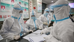 loat nghe sy viet huy so dong cua san khau kich vi virus corona