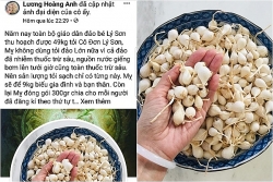 tung tin gia mao sai su that tren mang ca hoi se bi phat toi 20 trieu dong