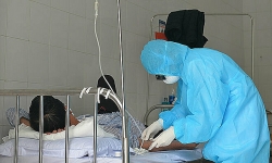 co giao di du hoi thao o y ve bi ho sot ha noi yeu cau cung cap thong tin 29 giao vien di cung