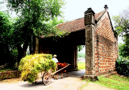 ngam hon que cu khien ai cung muon quay ve