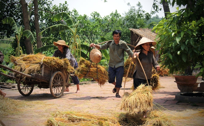 ngam hon que cu khien ai cung muon quay ve
