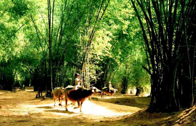 ngam hon que cu khien ai cung muon quay ve