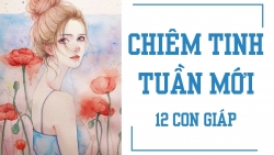 chiem tinh hom nay 2232019 cua 12 cung hoang dao su