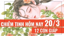 chiem tinh ngay mai 213 ve cong viec cua 12 cung hoang dao bao binh tham vong