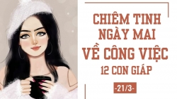 chiem tinh ngay mai 243 ve cong viec cua 12 con giap tuoi suu can giup do