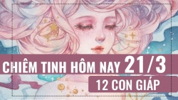 chiem tinh hom nay 2532019 cua 12 con giap tuoi hoi mat ngu