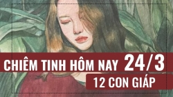 chiem tinh hom nay 273 ve tai chinh cua 12 con giap