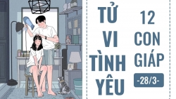 tu vi hom nay 283 ve tinh yeu cua 12 con giap tuoi than gap lai tinh dau