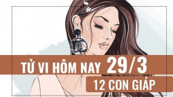 tu vi hom nay 2932019 cua 12 con giap tuoi ty mat ngu