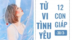 tu vi hom nay 303 ve tinh yeu cua 12 con giap tuoi suu si tinh