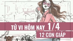 tu vi hom nay 142019 cua 12 con giap tuoi hoi quyet tam thay doi