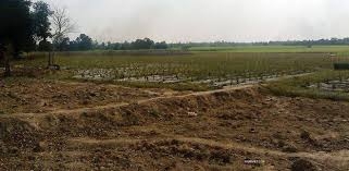 chuyen muc dich su dung dat tai tinh ha giang