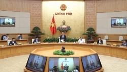 nhan sac nu bien tap vien cua vtv co ca hoa hau nguoi dep bien