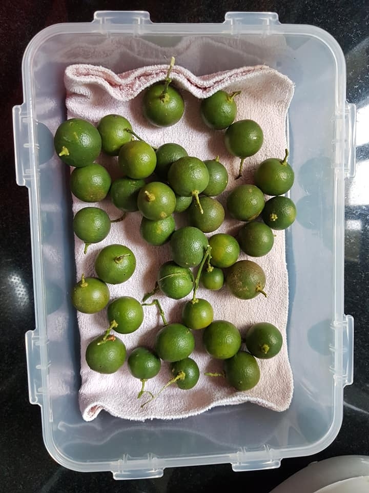 Mẹo trữ đông thực phẩm cho bà nội trợ đi chợ một tuần một lần mùa dịch Covid-19 meo tru dong thuc pham cho ba noi tro di cho mot tuan mot lan mua dich covid 19