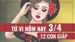 tu vi hom nay 342019 cua 12 con giap tuoi mao tim co hoi thang chuc