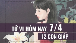 tu vi hom nay 742019 cua 12 con giap tuoi dan on dinh