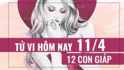 tu vi hom nay 1142019 cua 12 con giap tuoi suu can tien