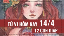 tu vi hom nay 1442019 cua 12 con giap tuoi ty ton thuong