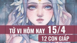 tu vi hom nay 1542019 cua 12 con giap tuoi tuat no luc khong ngung