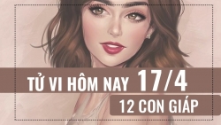 tu vi hom nay 1742019 cua 12 con giap tuoi mao chi tieu de dat