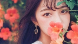 tu vi hom nay 1842019 cua 12 con giap tuoi than khong ngung phan dau