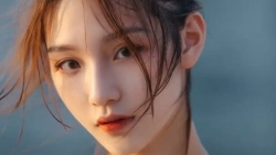 tu vi hom nay 1942019 cua 12 con giap tuoi suu huong qua ngot