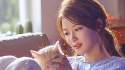 tu vi hom nay 264 ve tinh yeu cua 12 con giap tuoi than hanh phuc