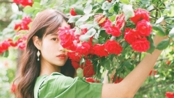 tu vi hom nay 3042019 cua 12 con giap tuoi suu luoi bieng