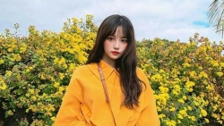 tu vi hom nay 352019 cua 12 con giap tuoi tuat phat tai phat loc