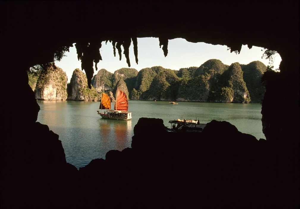 nhip song hoi ha nhon nhip o quang ninh nam 1994 1995