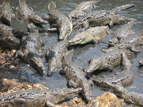8 hon dao dang so nhat the gioi khong ai dam den gan