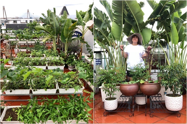 Sân thượng 120m2 không cần mái che vẫn đủ loại rau trái của bà mẹ 5 con san thuong 120m2 khong can mai che van du loai rau trai cua ba me 5 con
