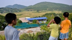 neu con thi khong do thi cung khong sao dau
