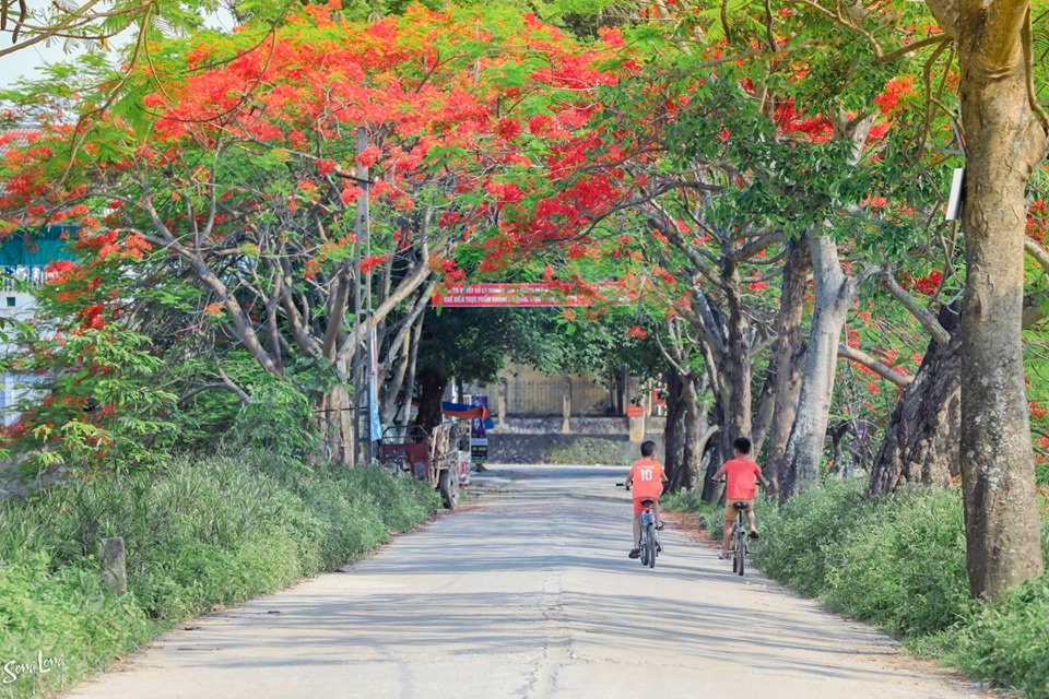 hoa quanh lang mua ha mang tuoi tho tuong xa roi tro ve gan gui van vuong