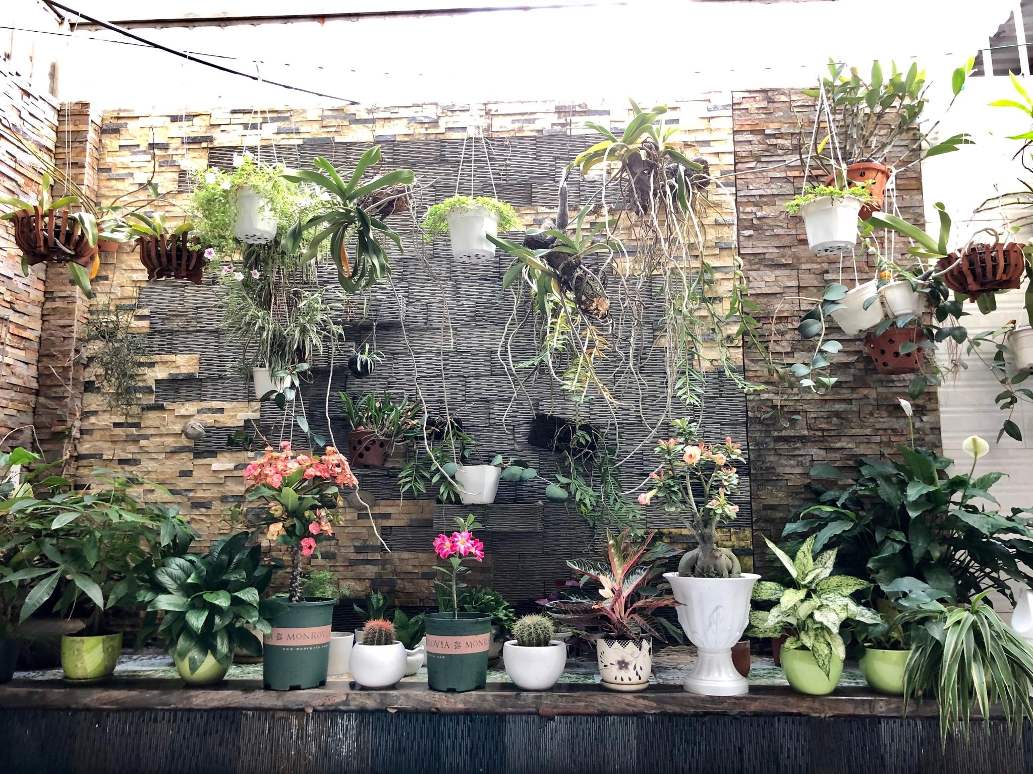 hoa la ron rang khoe sac trong khu vuon san thuong 70m2 o tp hcm