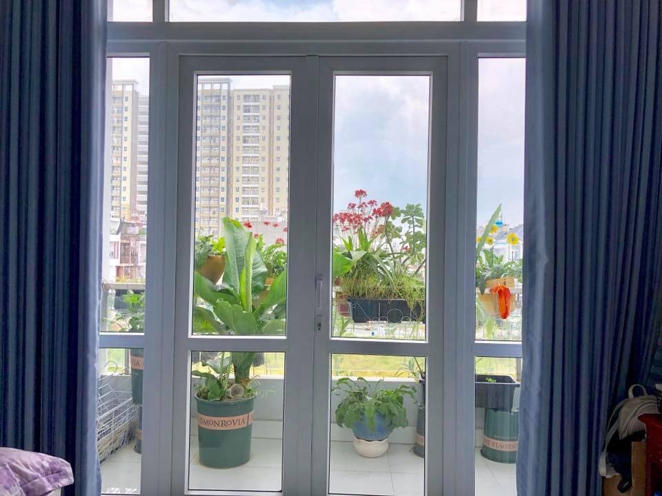 Hoa lá rộn ràng khoe sắc trong khu vườn sân thượng 70m2 ở TP. HCM hoa la ron rang khoe sac trong khu vuon san thuong 70m2 o tp hcm