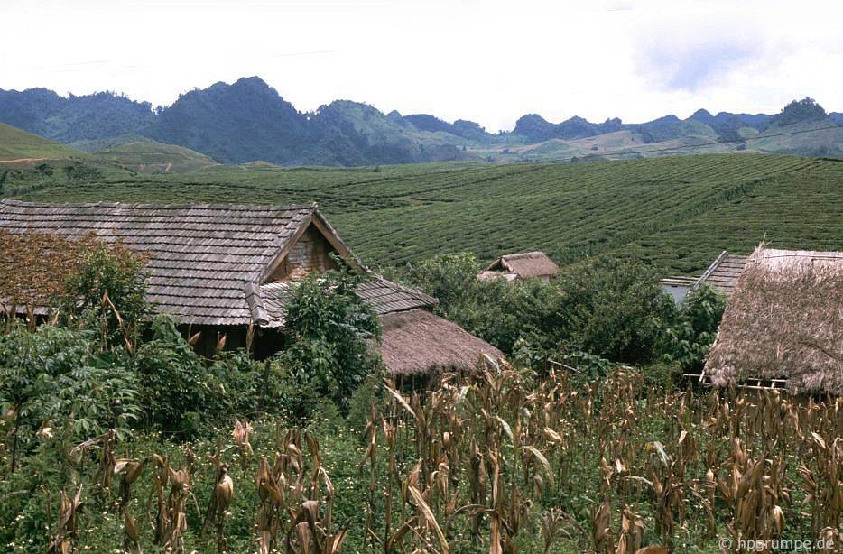 ve binh yen hiem co cua son la trong loat anh mau nhung nam 1990