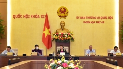Chính phủ dự kiến 2 kịch bản tăng trưởng kinh tế
