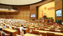 de xuat thien hoa hoc toi pham xam hai tinh duc tre em