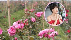 ngam vuon hong ngoai dep me hon cua uyen chi vo pate trong ve nha di con