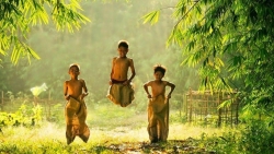 ve dep mua lua chin vang bao quanh den co thai vi