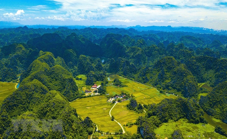 ve dep mua lua chin vang bao quanh den co thai vi
