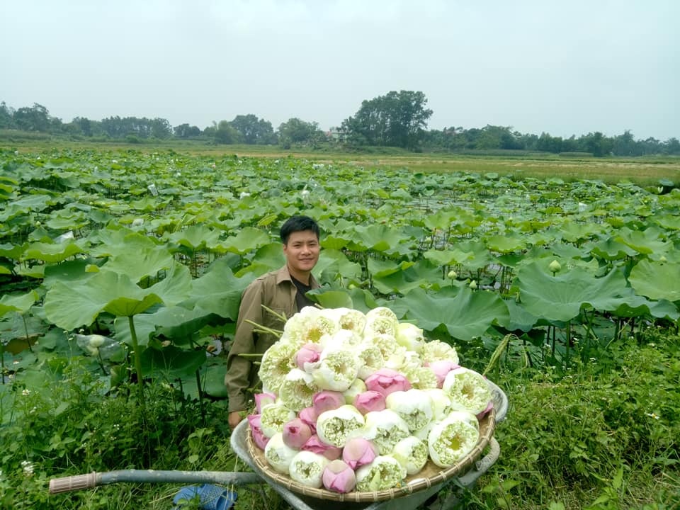 dam me trong che uop sen chang cu nhan bao chi roi thanh pho ve que khoi nghiep