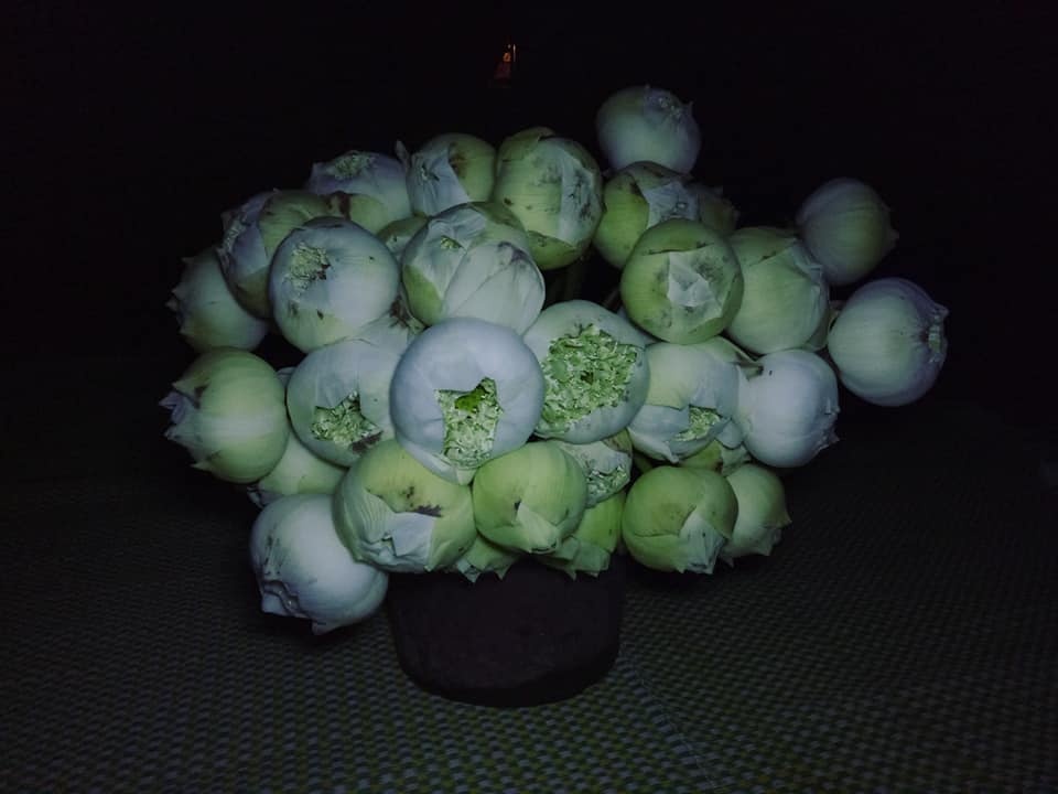 dam me trong che uop sen chang cu nhan bao chi roi thanh pho ve que khoi nghiep