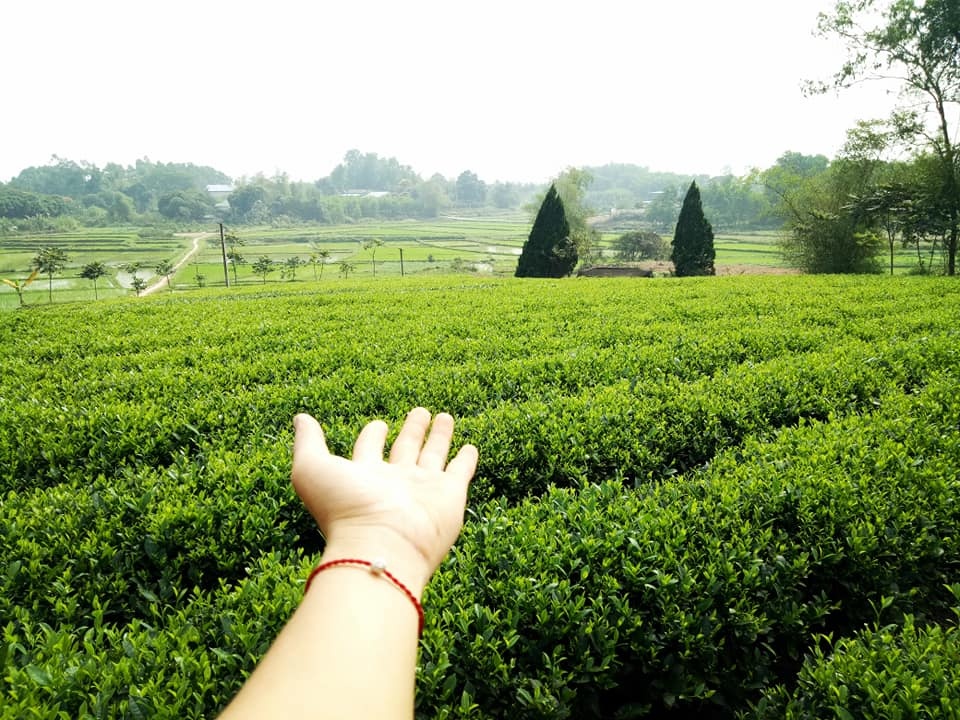 dam me trong che uop sen chang cu nhan bao chi roi thanh pho ve que khoi nghiep