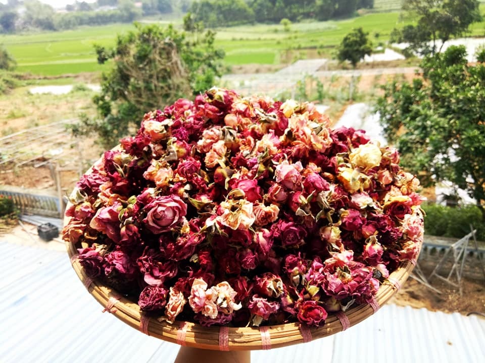 dam me trong che uop sen chang cu nhan bao chi roi thanh pho ve que khoi nghiep