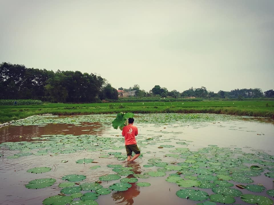 dam me trong che uop sen chang cu nhan bao chi roi thanh pho ve que khoi nghiep